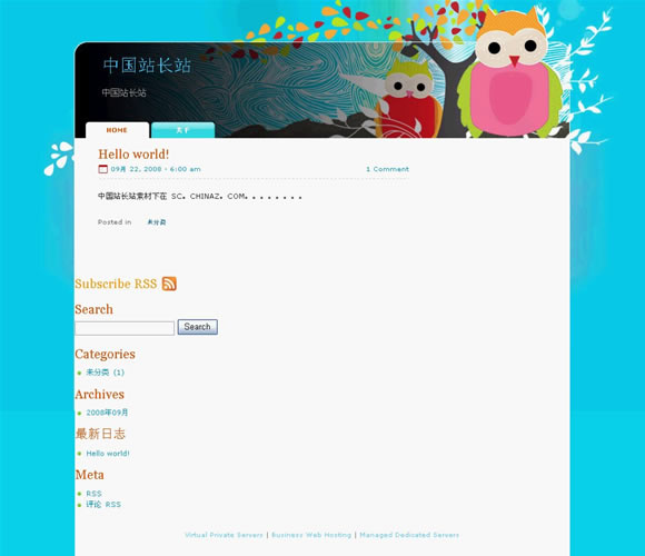 WordPress Owl Bubo模板