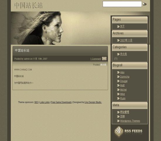 WordPress 主页风格