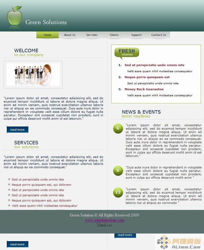 绿色苹果企业解决方案html网页模板