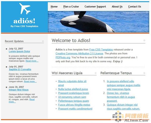 航海航空旅程css网页模板