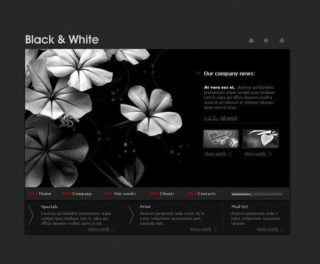 一套非主流黑白空间风格flash,html,psd网站模板