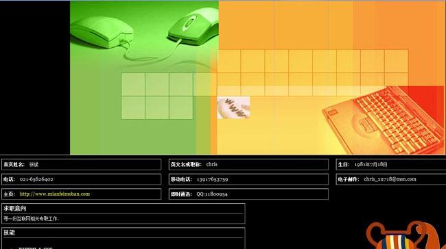 IT技术工作者个人简历单页面html免费模板