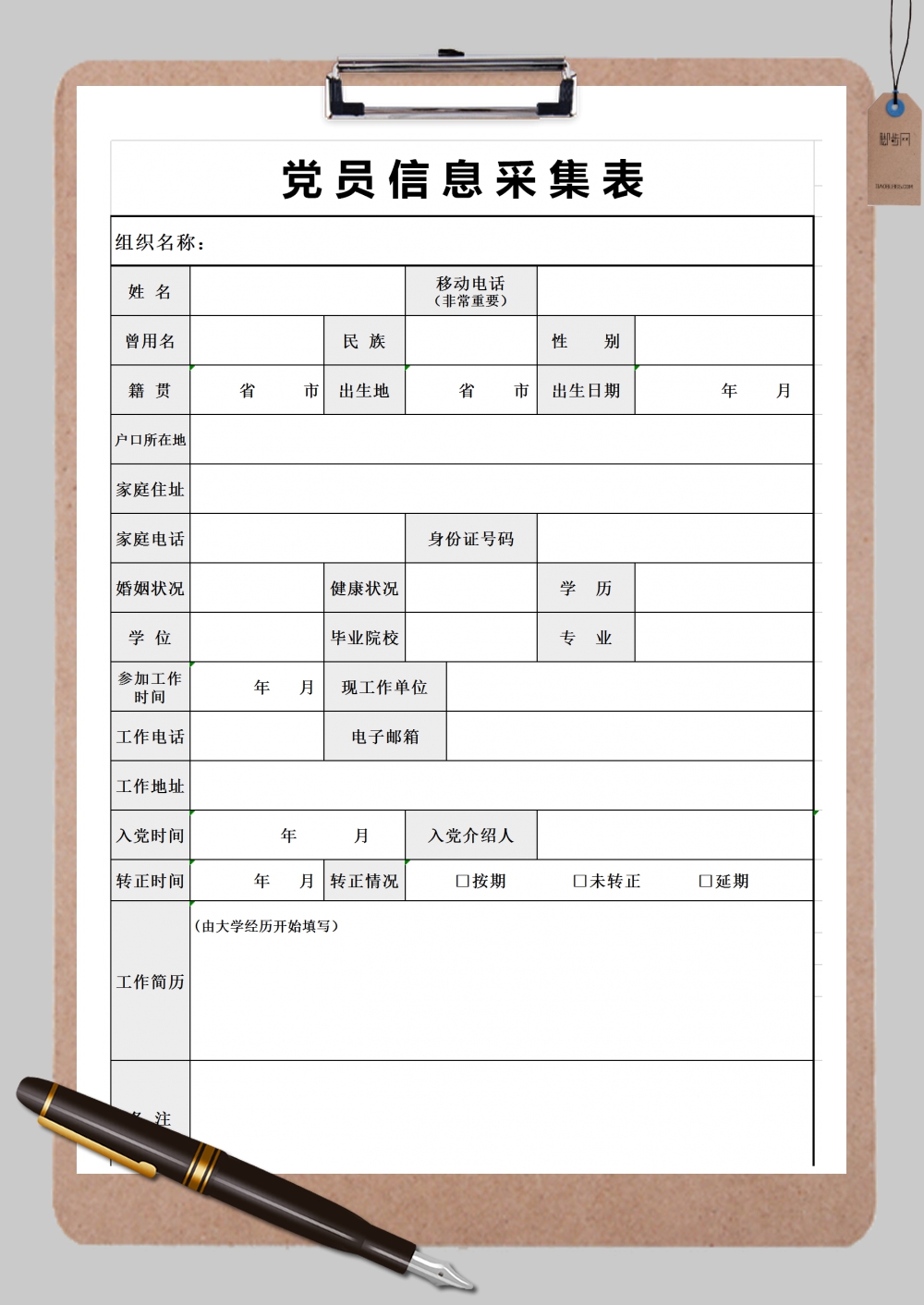 学校党员信息采集表格范文样式Excel模板