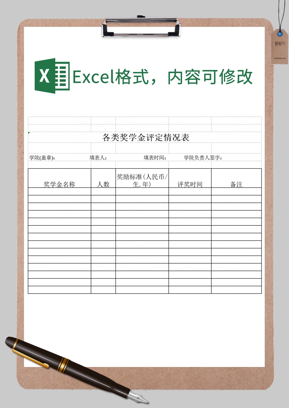 各类奖学金评定情况表表格样式Excel模板