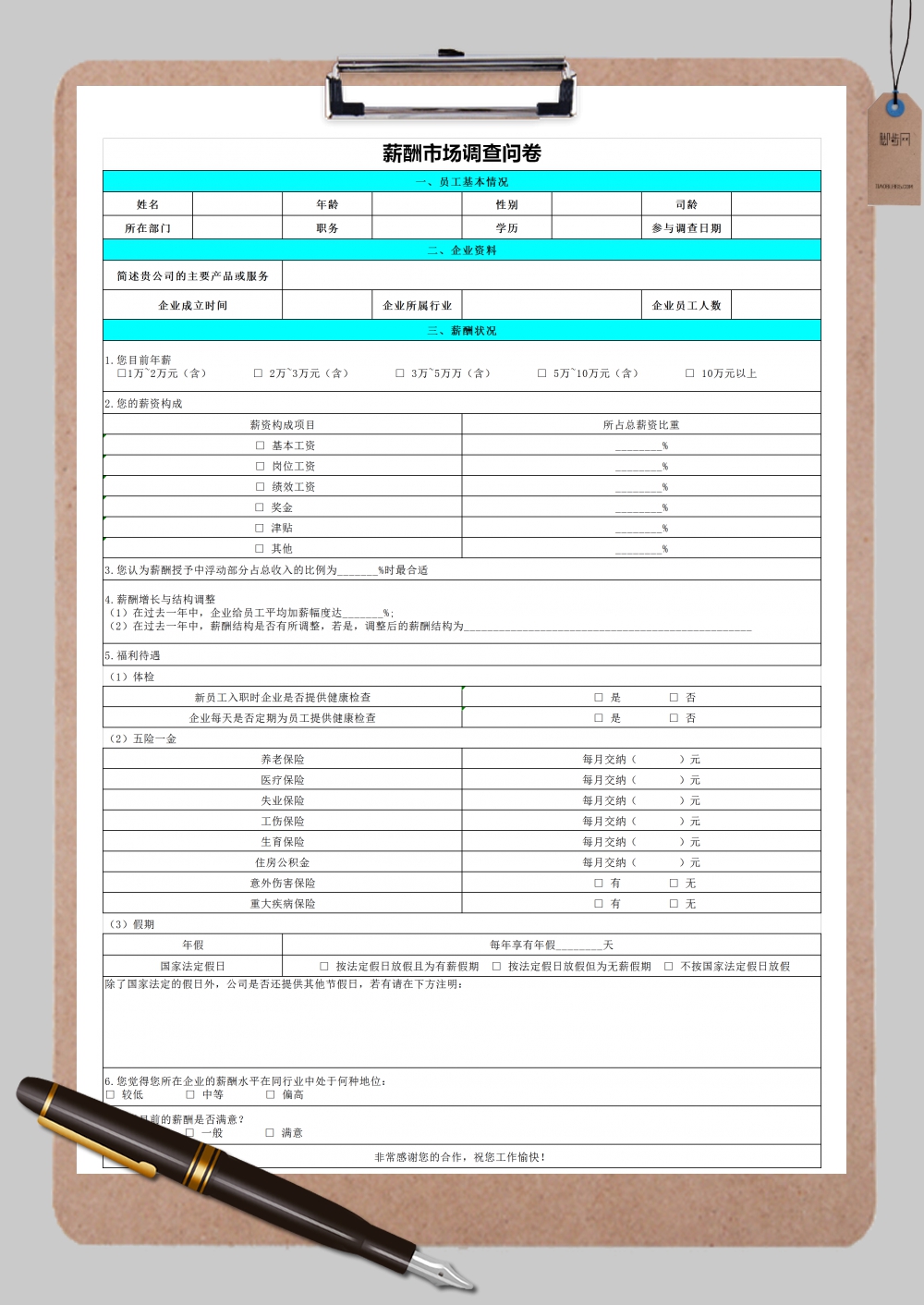 精美薪酬市场调查问卷Excel模板