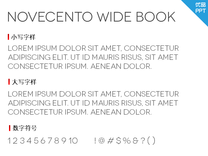 Novecento wide Book