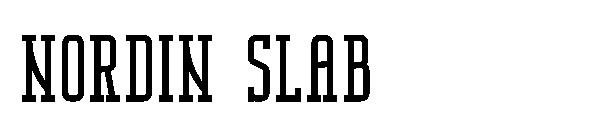 Nordin slab字体