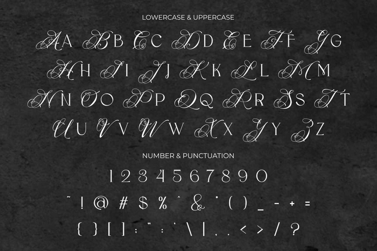 Flece display字体 5