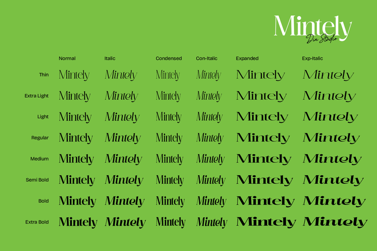 Mintely reg字体 6