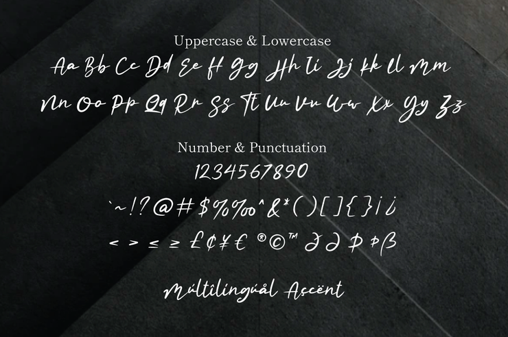 Rhiledia字体 6