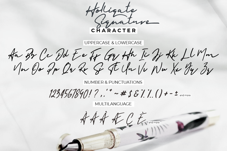 Holligate Signature字体 4