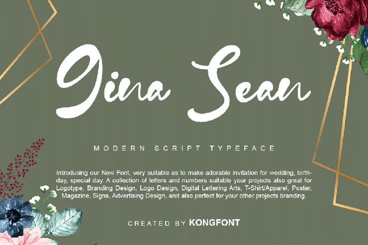 Gina Sean字体 1