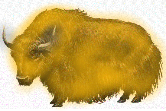 Yellow Yaks Yelp and Yodel字体 1