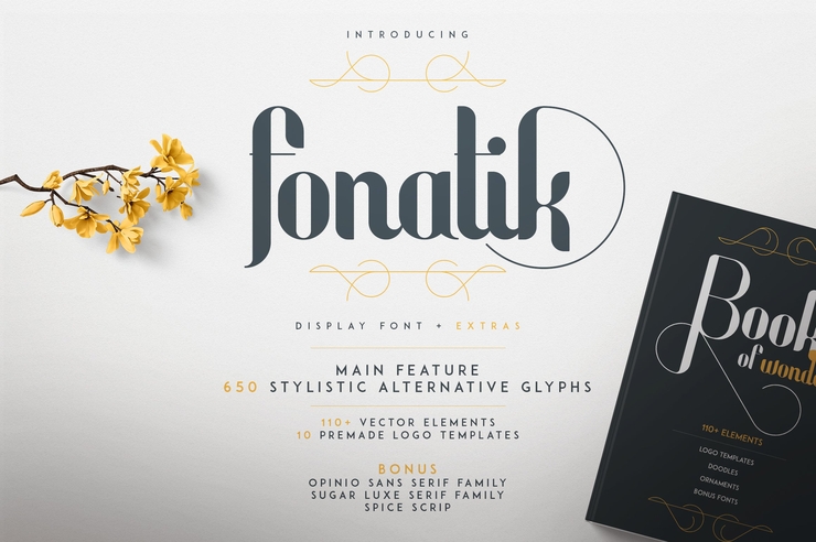 fonatik display + extras 5