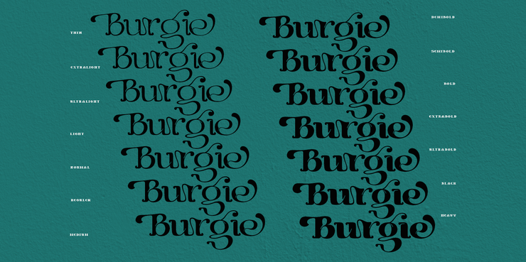 Burgie Black字体 9