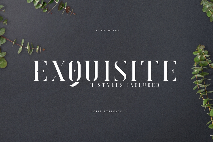 EXQUISITE - SERIF TYPEFACE字体 1