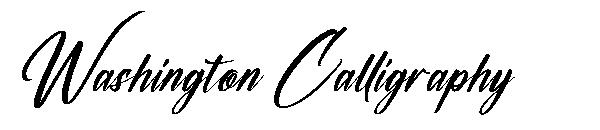 Washington Calligraphy字体