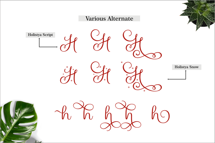 Holistya Snow字体 4