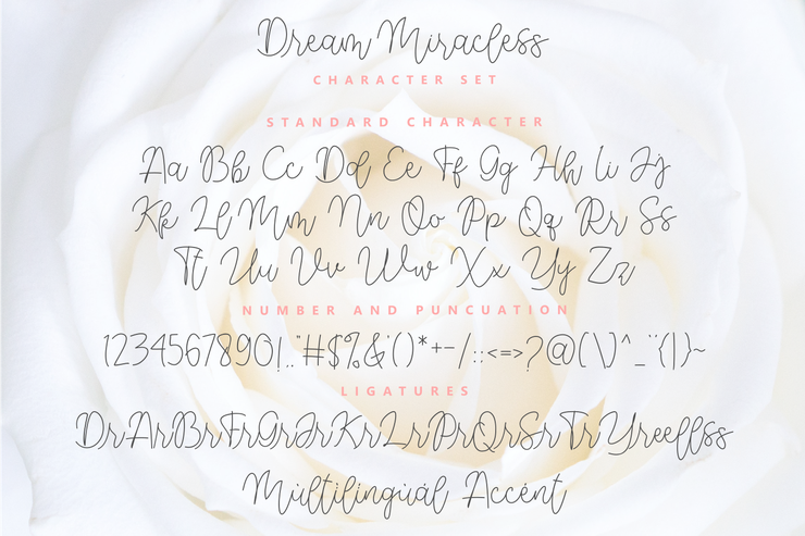 Dream Miracless Regular字体 9