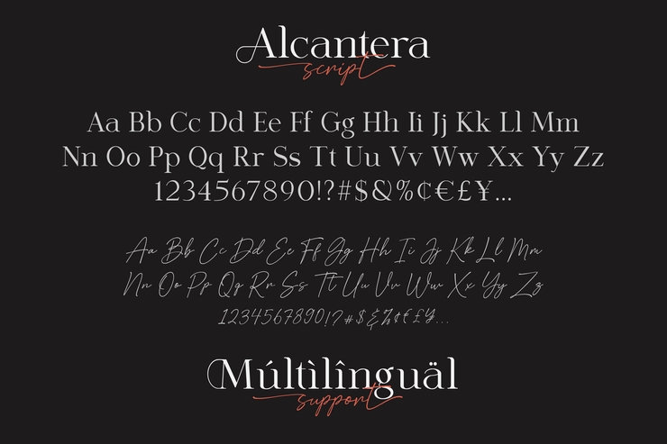 Alcantera Script字体 1