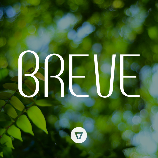 Breve SC字体 2