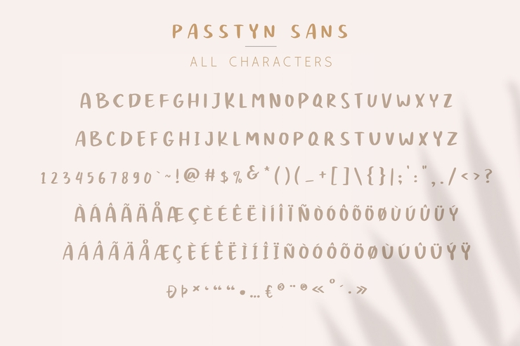 Passtyn Sans字体 1