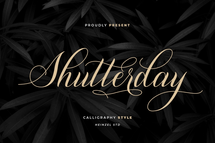 Shutterday字体 1