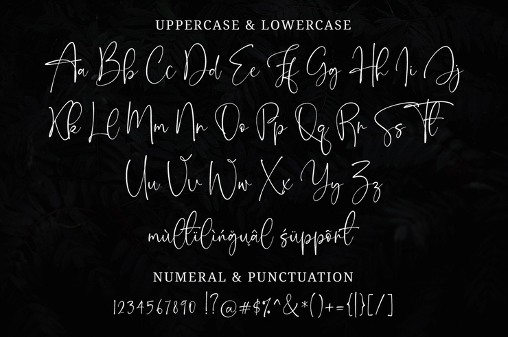 Onesty Signature字体 6