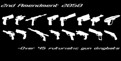 2nd Amendment 2050字体 3