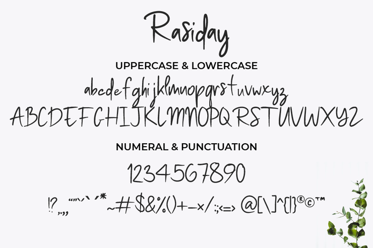 Rasiday字体 3