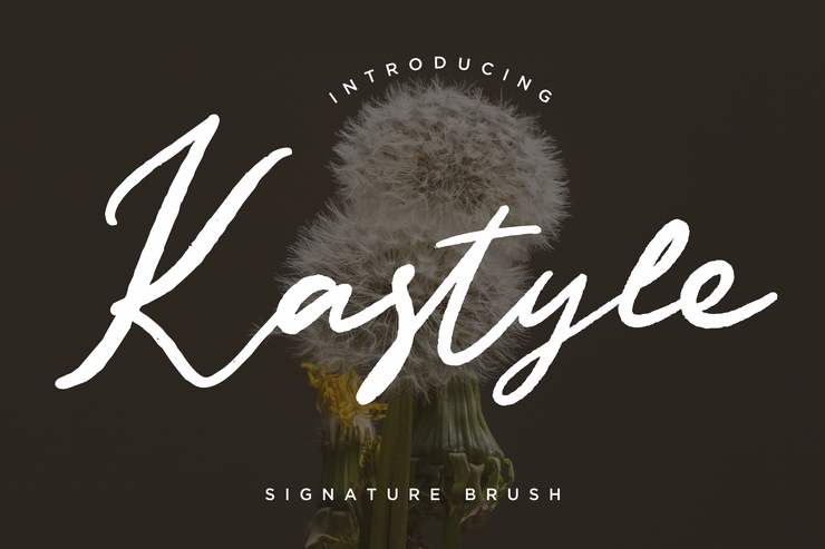 Kastyle Signature Brush字体 3