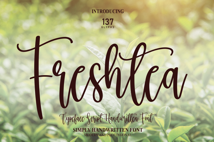 Freshtea字体 7