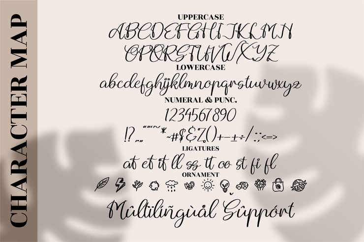 Andytta Selya字体 6