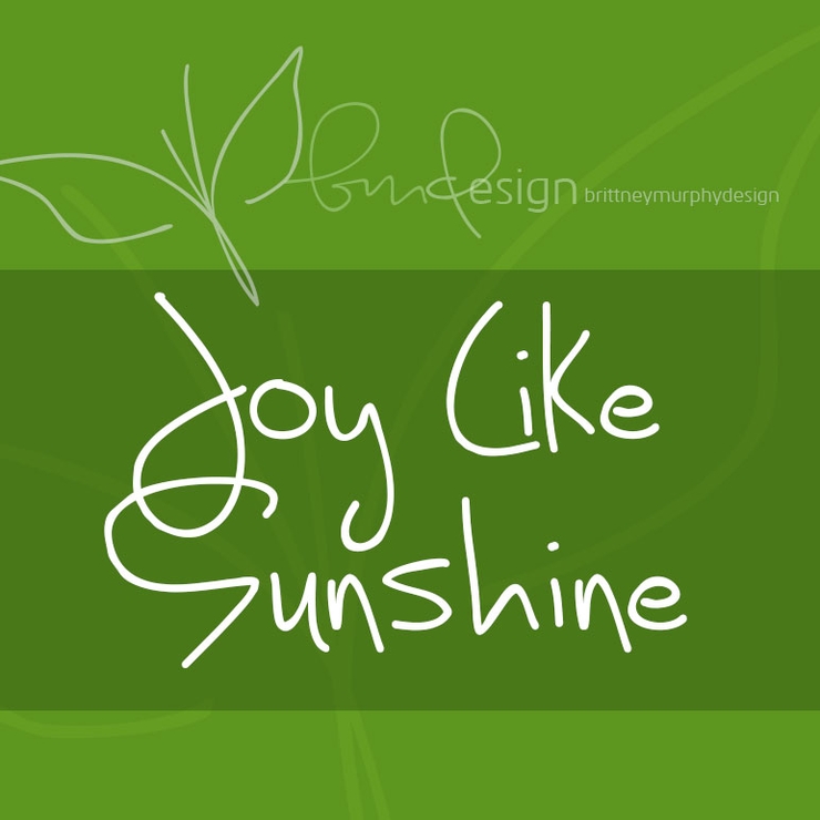 Joy Like Sunshine Through My Wi字体 2