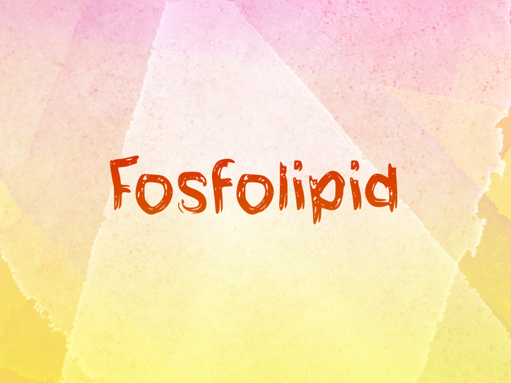 f fosfolipid 1