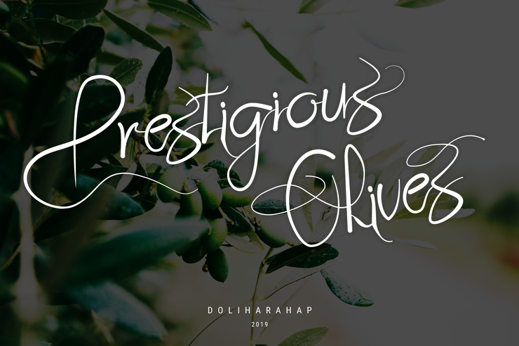 Prestigious Olives字体 5