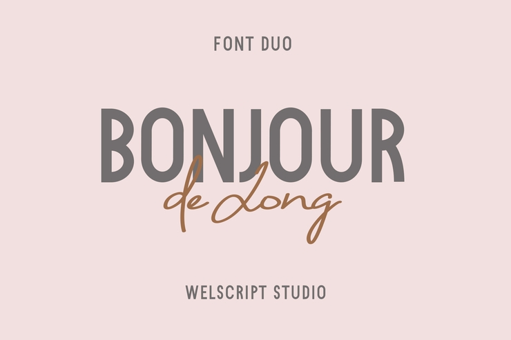 Bonjour De Jong Sans字体 10