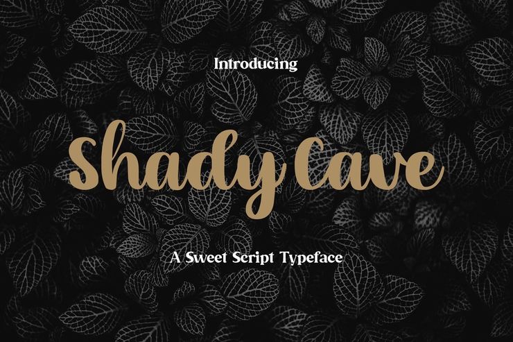 Shady Cave - Script字体 7