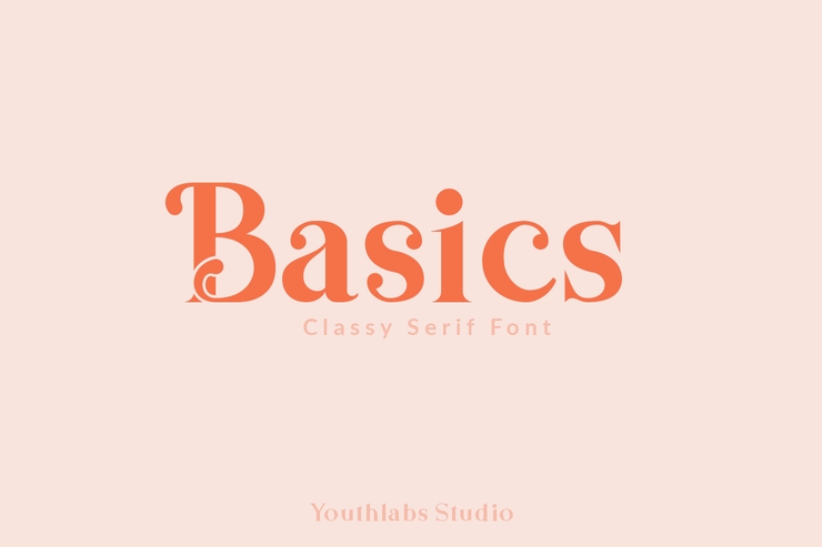 Basics Serif字体 8