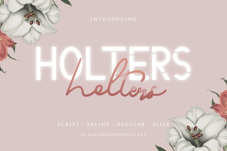 Holters Script字体 1