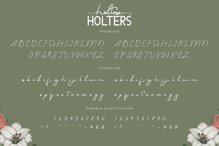 Holters Script字体 2