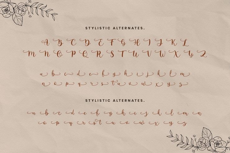 Anguela Script字体 2