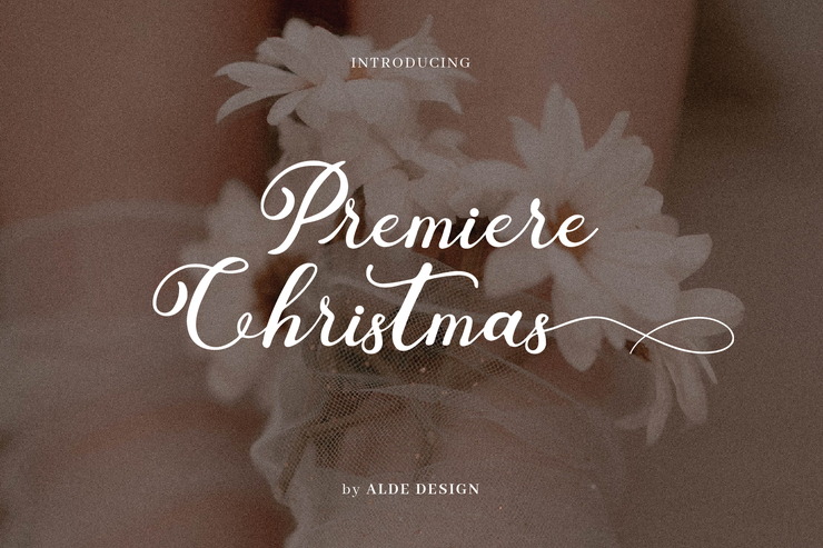 Premiere Christmas字体 7