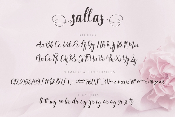 Sallas字体 7