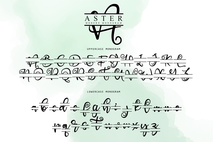 Aster Monogram _字体 3