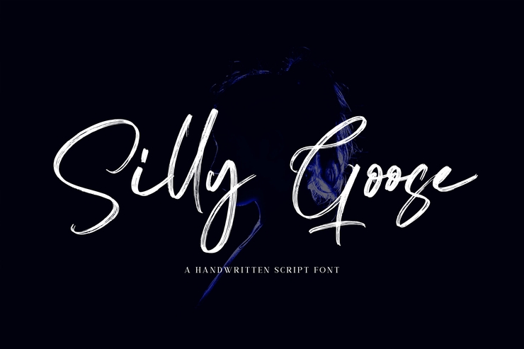 Silly Goose - Handwritten字体 1