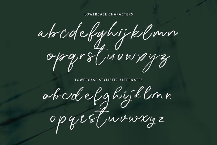 Katherina Signature字体 4