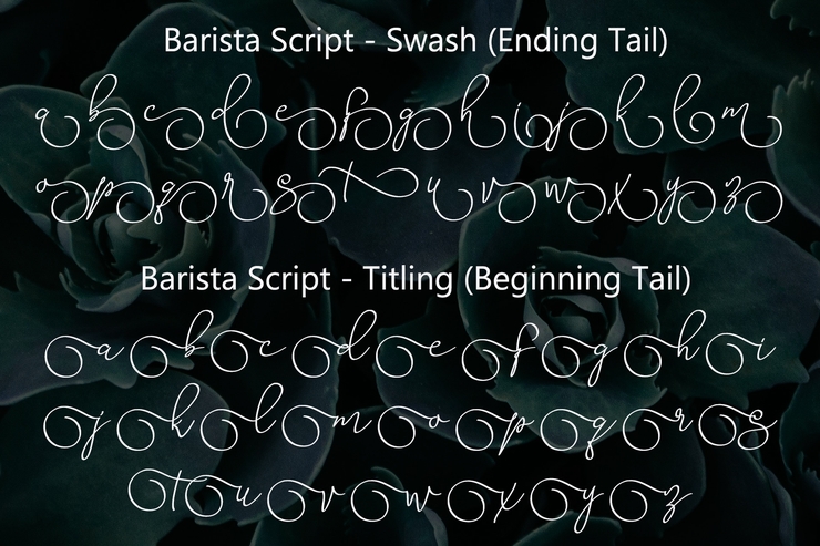 Barista Script字体 2