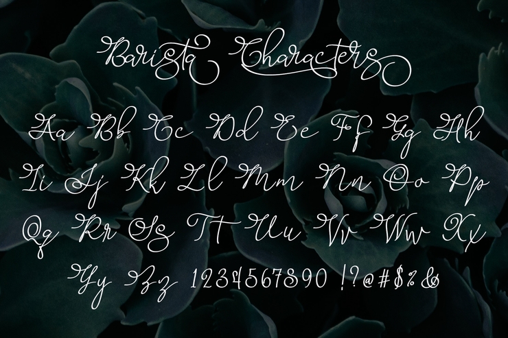 Barista Script字体 6