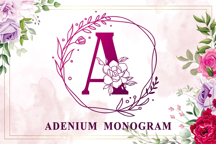 Adenium Monogram字体 5